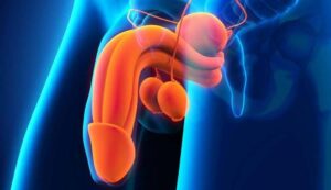 إجراء عملية تجميل القضيب: خطوة بخطوة